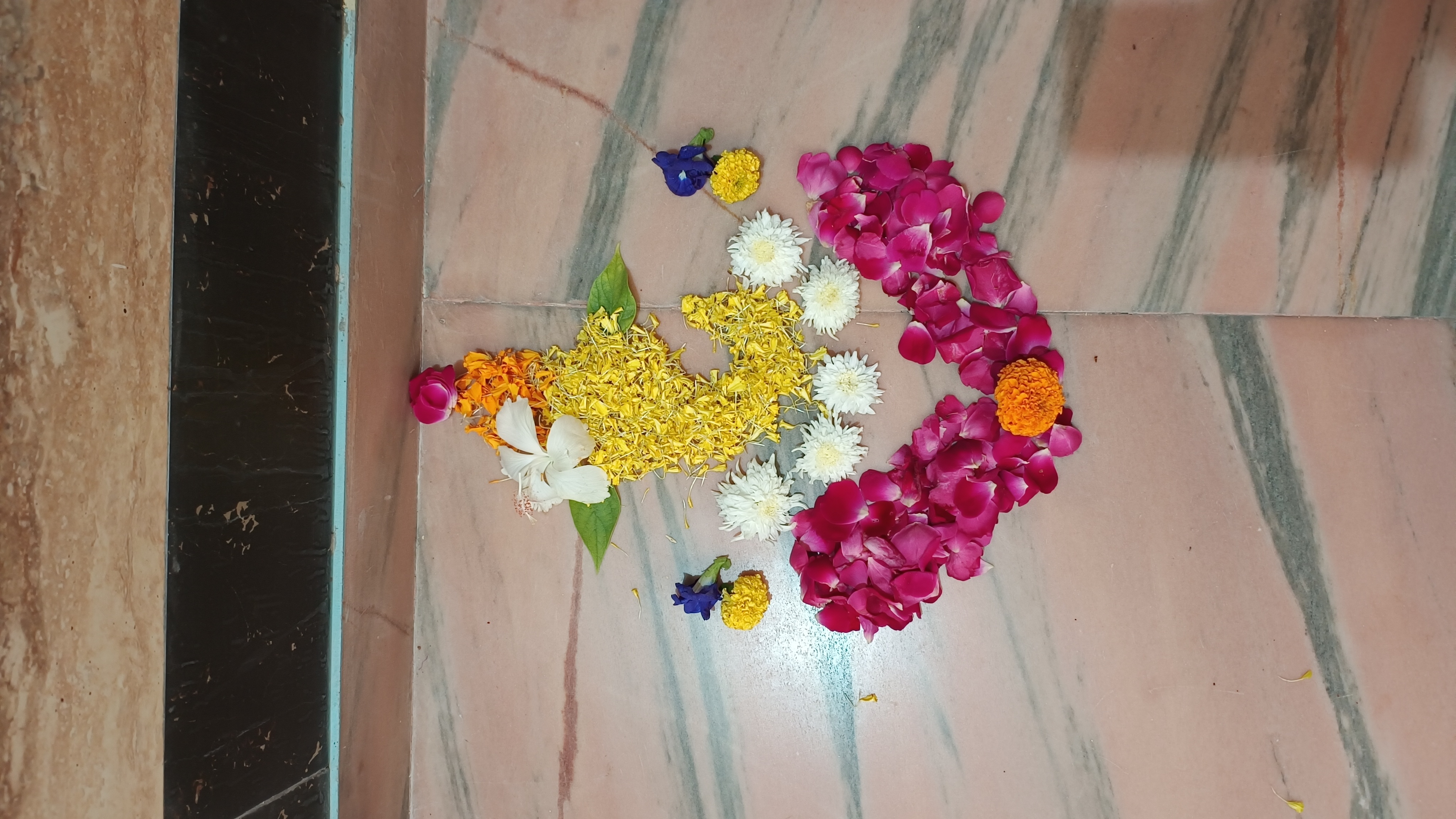 IMG_20241101_113714367